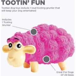 Outward Hound Tootiez Squeaky Stuffing-Free Dog Toy -Pet Toys Shop 173725 PT2. AC SS1800 V1636500745