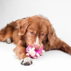 Outward Hound Tootiez Squeaky Stuffing-Free Dog Toy -Pet Toys Shop 173725 PT6. AC SS1800 V1636507132