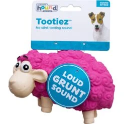 Outward Hound Tootiez Squeaky Stuffing-Free Dog Toy -Pet Toys Shop 173725 PT7. AC SS1800 V1636500086