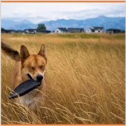 Monster K9 Dog Toys Indestructible Flying Disc Dog Toy -Pet Toys Shop 173928 PT5. AC SS1800 V1672947912