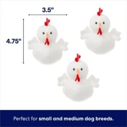 Frisco Chicken Coop Hide & Seek Puzzle Plush Squeaky Dog Toy -Pet Toys Shop 174755 PT2. AC SS1800 V1691783968