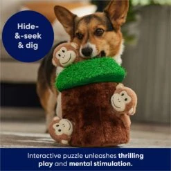 Frisco Monkeys In Tree Hide & Seek Puzzle Plush Squeaky Dog Toy -Pet Toys Shop 174759 PT5. AC SS1800 V1702598595