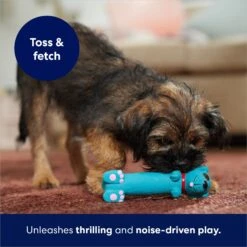 Frisco Latex Squeaky Puppy Toy -Pet Toys Shop 174775 PT5. AC SS1800 V1691784247