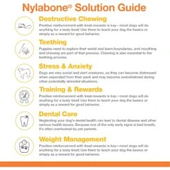 Nylabone Power Chew Customer Favorites Dog Chew Toy Bundle Customer Favorites Bundle Variety -Pet Toys Shop 175398 PT8. AC SS1800 V1685650134