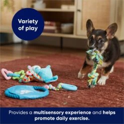 Frisco Little Friends Plush, Flyer & TPR Variety Pack Dog Toy -Pet Toys Shop 177816 PT5. AC SS1800 V1691783909