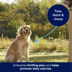 Frisco Ball Launcher & Fetch Squeaky Tennis Ball Dog Toy -Pet Toys Shop 178477 PT3. AC SS1800 V1695241970