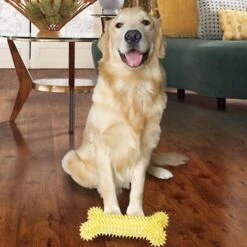 Gnawsome Spikey MegaBone Dog Toy, Color Varies -Pet Toys Shop 178561 PT3. AC SS1800 V1563229637