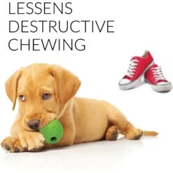 Rocket & Rex Puppy Chew Toy Variety Pack For Small To Medium Breeds 10 Rocket & Rex Puppy Chew Toy Variety Pack For Small To Medium Breeds -Pet Toys Shop 180484 pt4. AC SS1800 V1564597080