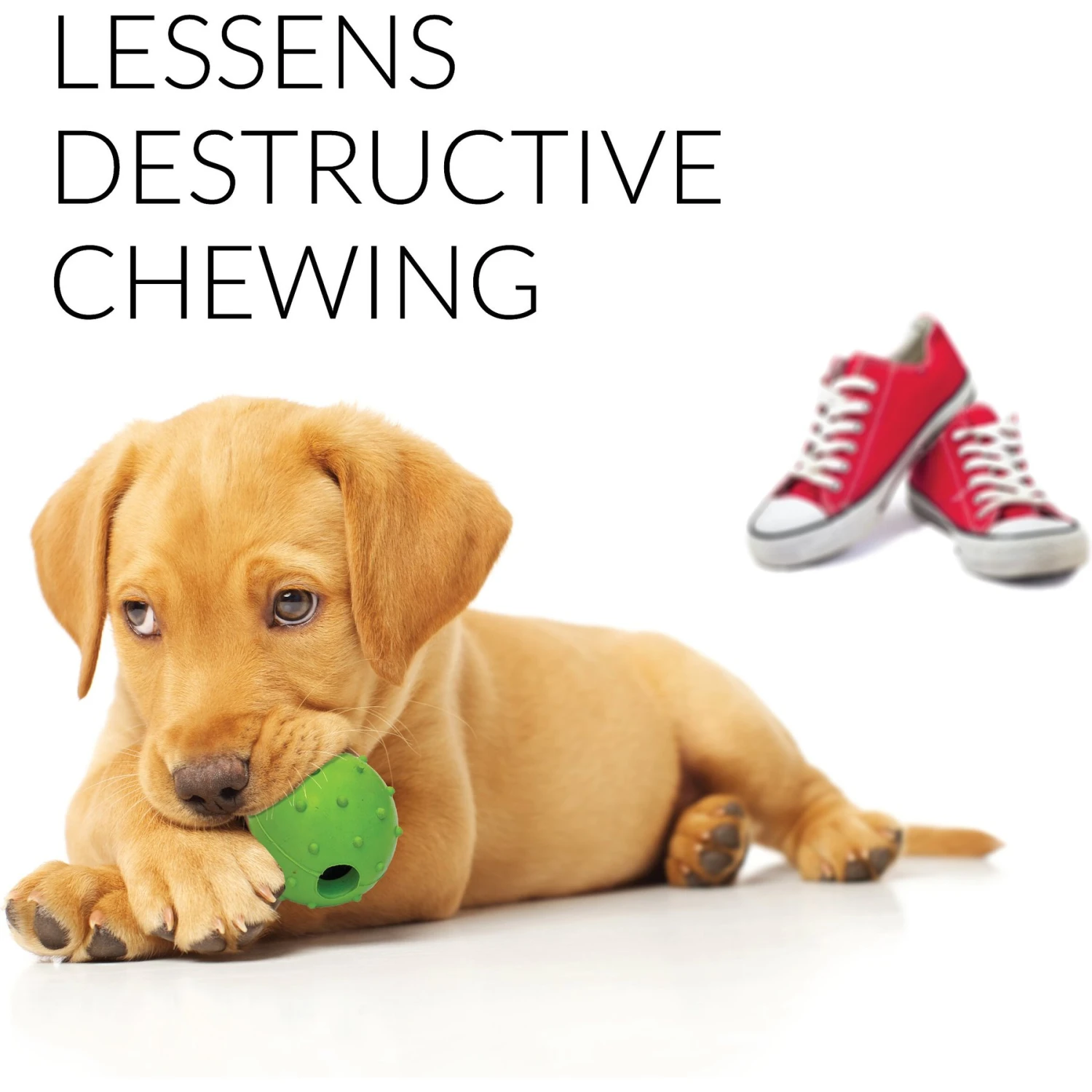 Rocket & Rex Puppy Chew Toy Variety Pack For Small To Medium Breeds 5 Rocket & Rex Puppy Chew Toy Variety Pack For Small To Medium Breeds - Image 5