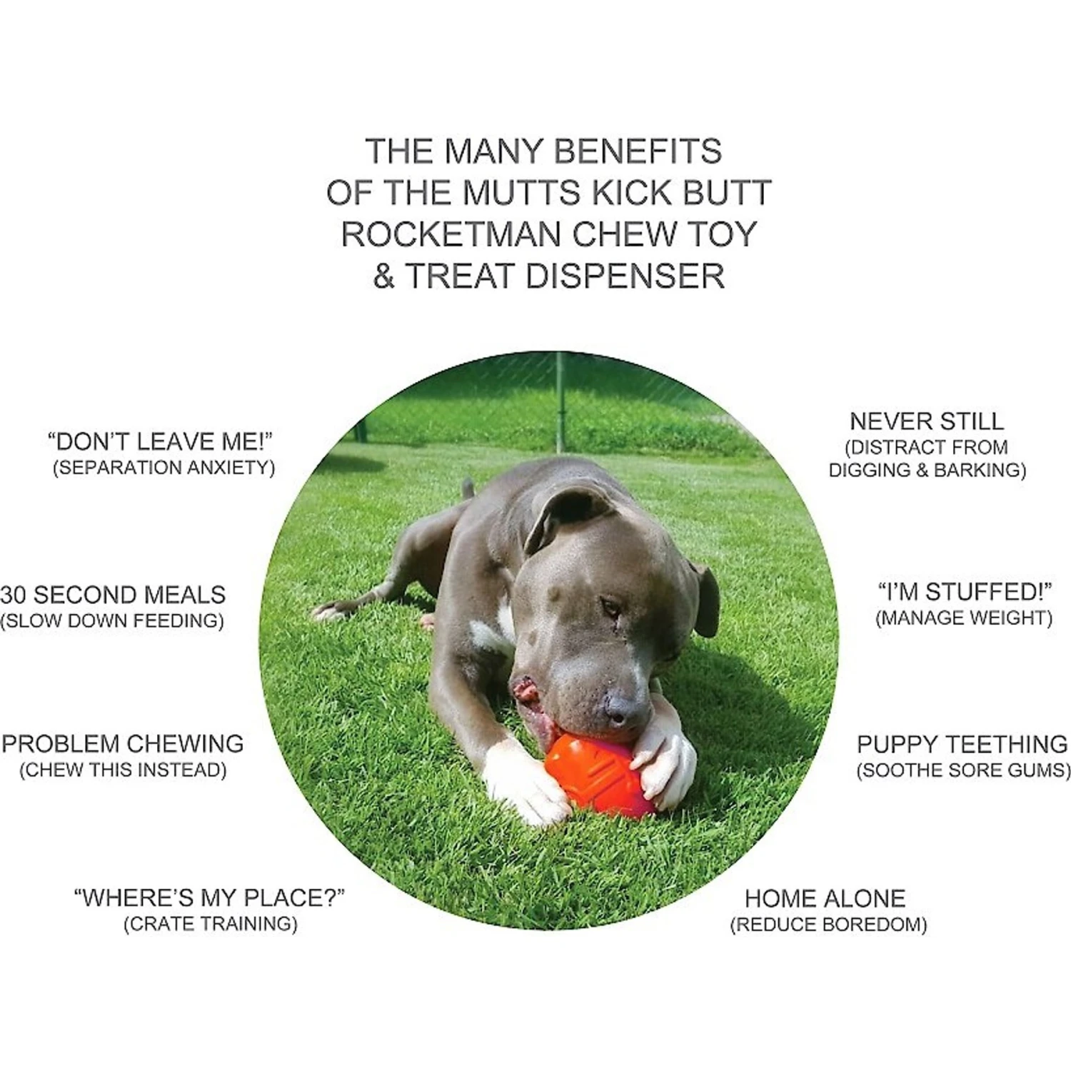 Spotnik Rocketman Treat Dispensing Tough Dog Chew Toy 5 Spotnik Rocketman Treat Dispensing Tough Dog Chew Toy - Image 5