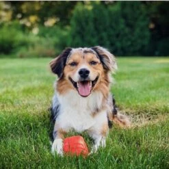 Spotnik Rocketman Treat Dispensing Tough Dog Chew Toy 13 Spotnik Rocketman Treat Dispensing Tough Dog Chew Toy -Pet Toys Shop 181057 PT6. AC SS1800 V1564608158