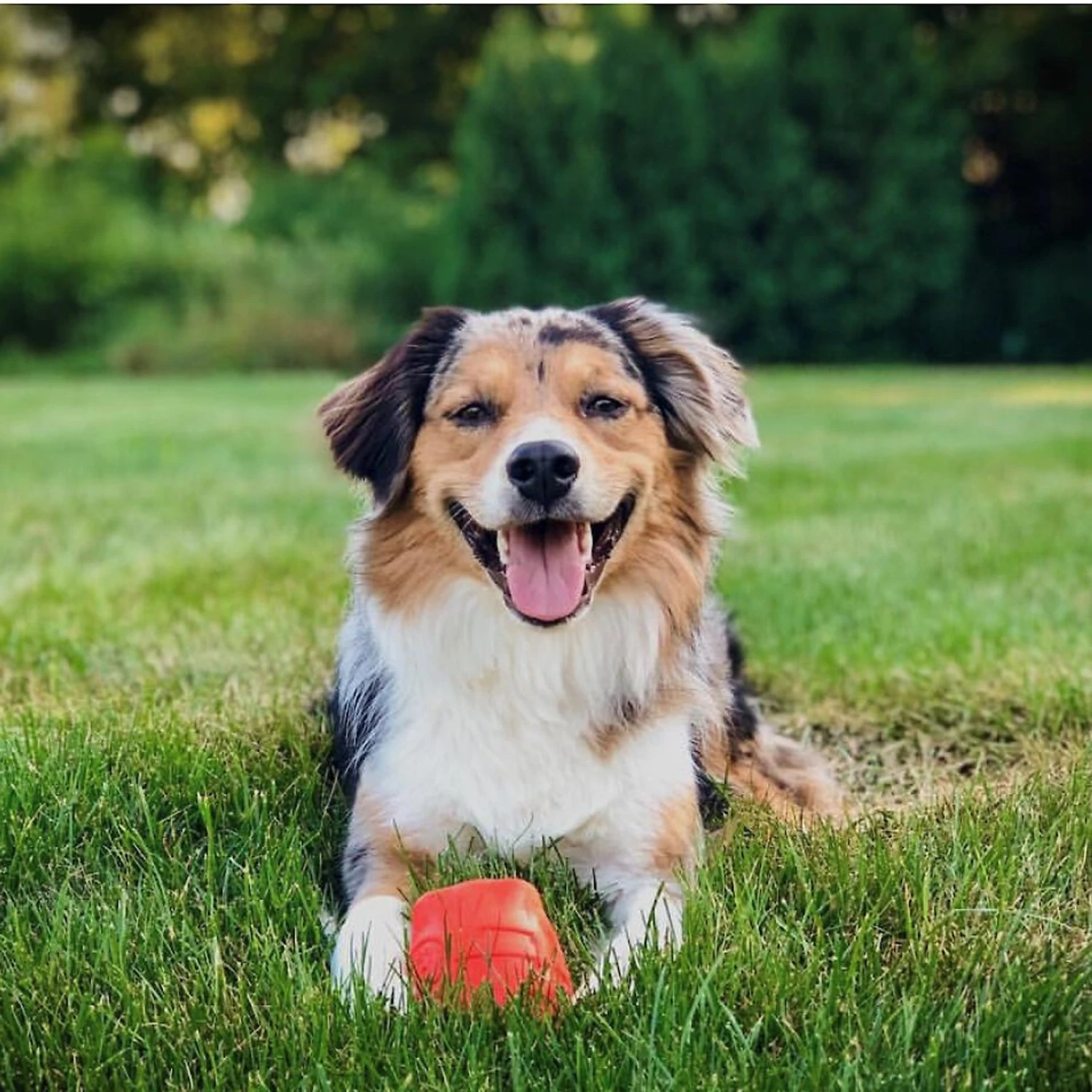 Spotnik Rocketman Treat Dispensing Tough Dog Chew Toy 7 Spotnik Rocketman Treat Dispensing Tough Dog Chew Toy - Image 7