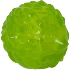 JW Pet Hedgehog Squeaky Ball Dog Toy