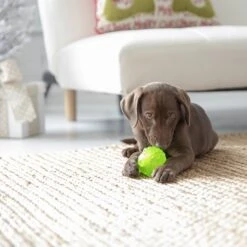 JW Pet Hedgehog Squeaky Ball Dog Toy 5 JW Pet Hedgehog Squeaky Ball Dog Toy -Pet Toys Shop 182731 PT2. AC SS1800 V1602326776