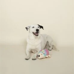 Pet Shop By Fringe Studio Tina The Hedgehog Squeaky Plush Dog Toy -Pet Toys Shop 183889 PT3. AC SS1800 V1629246704