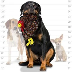 Tuffy's Barnyard Turkey Squeaky Plush Dog Toy 9 Tuffy's Barnyard Turkey Squeaky Plush Dog Toy -Pet Toys Shop 184019 PT3. AC SS1800 V1589570505