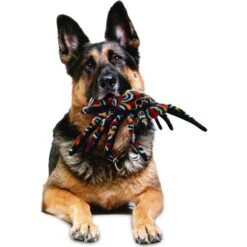 Tuffy's Desert Tarantula Plush Dog Toy 8 Tuffy's Desert Tarantula Plush Dog Toy -Pet Toys Shop 184028 PT2. AC SS1800 V1589570525