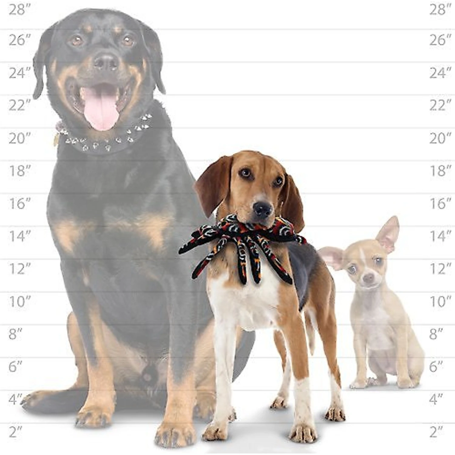 Tuffy's Desert Tarantula Plush Dog Toy 4 Tuffy's Desert Tarantula Plush Dog Toy - Image 4