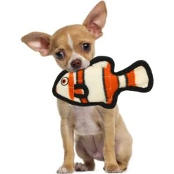 Tuffy's Ocean Creature Jr Fish Squeaky Plush Dog Toy -Pet Toys Shop 184095 PT2. AC SS1800 V1589570823