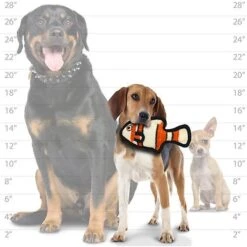 Tuffy's Ocean Creature Jr Fish Squeaky Plush Dog Toy -Pet Toys Shop 184095 PT3. AC SS1800 V1589570826