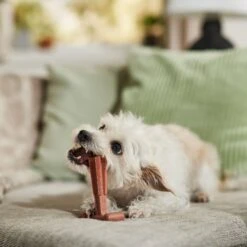 Ethical Pet Bam-bones Plus Beef Tough Dog Chew Toy -Pet Toys Shop 188856 PT3. AC SS1800 V1682711096