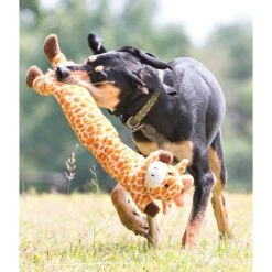Charming Pet Longidudes Giraffe Squeaky Plush Dog Toy -Pet Toys Shop 190518 PT2. AC SS1800 V1594671076
