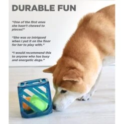 Outward Hound Puzzle Cube Interactive Dog Toy -Pet Toys Shop 190628 PT3. AC SS1800 V1636502633