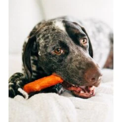 Petstages Dogwood BBQ & Natural Flavor Tough Dog Chew Toy -Pet Toys Shop 190700 PT6. AC SS1800 V1636511550