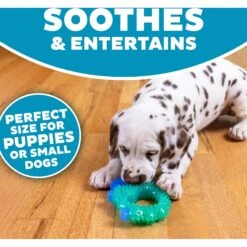Petstages Cutie Chewies Dog Toy -Pet Toys Shop 190749 PT3. AC SS1800 V1631680605