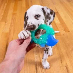 Petstages Cutie Chewies Dog Toy -Pet Toys Shop 190749 PT5. AC SS1800 V1631689334