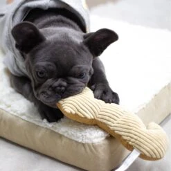 Paws & Pals Seahorse Plush Dog Toy -Pet Toys Shop 190891 PT4. AC SS1800 V1565884054