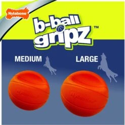 Nylabone Power Play Basketball B-Ball Gripz Dog Toy -Pet Toys Shop 195434 PT3. AC SS1800 V1685646679