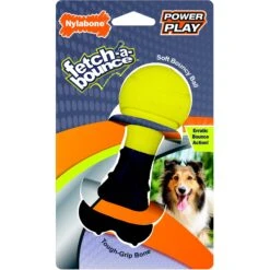 Nylabone Power Play Rubber Fetch-a-Bounce Dog Toy