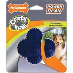 Nylabone Power Play Crazy Ball Dog Toy