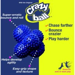 Nylabone Power Play Crazy Ball Dog Toy -Pet Toys Shop 195445 PT8. AC SS1800 V1685648723