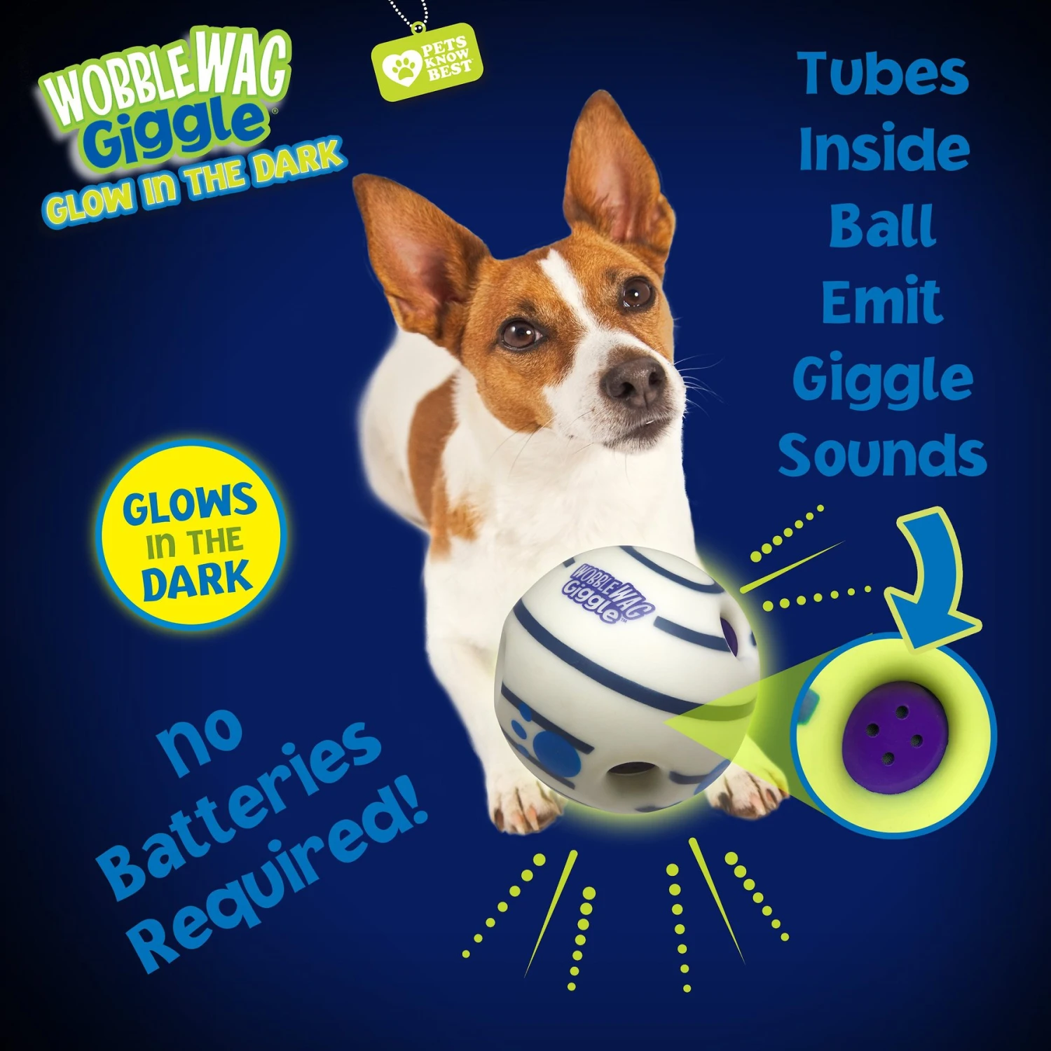 Wobble Wag Giggle Ball Glow In The Dark Squeaky Dog Toy 3 Wobble Wag Giggle Ball Glow In The Dark Squeaky Dog Toy - Image 3