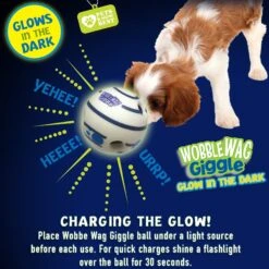 Wobble Wag Giggle Ball Glow In The Dark Squeaky Dog Toy 10 Wobble Wag Giggle Ball Glow In The Dark Squeaky Dog Toy -Pet Toys Shop 205654 PT3. AC SS1800 V1572363196