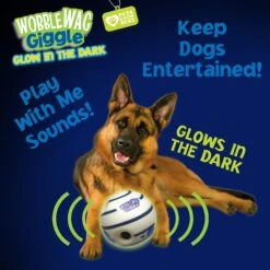 Wobble Wag Giggle Ball Glow In The Dark Squeaky Dog Toy 11 Wobble Wag Giggle Ball Glow In The Dark Squeaky Dog Toy -Pet Toys Shop 205654 PT4. AC SS1800 V1572363180