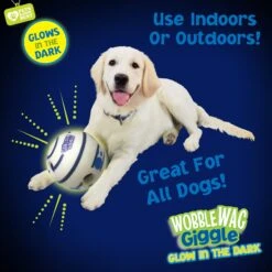 Wobble Wag Giggle Ball Glow In The Dark Squeaky Dog Toy 12 Wobble Wag Giggle Ball Glow In The Dark Squeaky Dog Toy -Pet Toys Shop 205654 PT5. AC SS1800 V1572363183