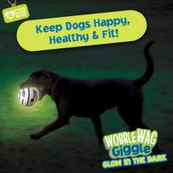Wobble Wag Giggle Ball Glow In The Dark Squeaky Dog Toy 13 Wobble Wag Giggle Ball Glow In The Dark Squeaky Dog Toy -Pet Toys Shop 205654 PT6. AC SS1800 V1572363199