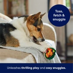 Frisco Burrito Plush Squeaky Dog Toy -Pet Toys Shop 213834 PT4. AC SS1800 V1695919984