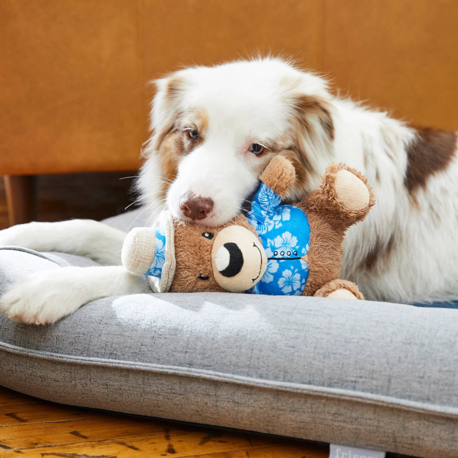 Frisco Summer Fun Plush Bear Squeaky Dog Toy 2 Frisco Summer Fun Plush Bear Squeaky Dog Toy - Image 2