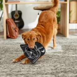 STAR WARS DARTH VADER Flat Plush Squeaky Dog Toy -Pet Toys Shop 220653 PT3. AC SS1800 V1615586195