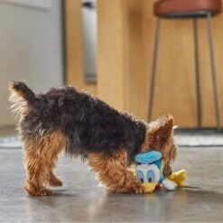 Disney Donald Duck Plush Squeaky Dog Toy -Pet Toys Shop 220681 PT3. AC SS1800 V1621383446