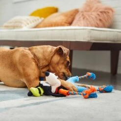 Disney Goofy Plush With Rope Squeaky Dog Toy -Pet Toys Shop 220712 PT2. AC SS1800 V1612365684