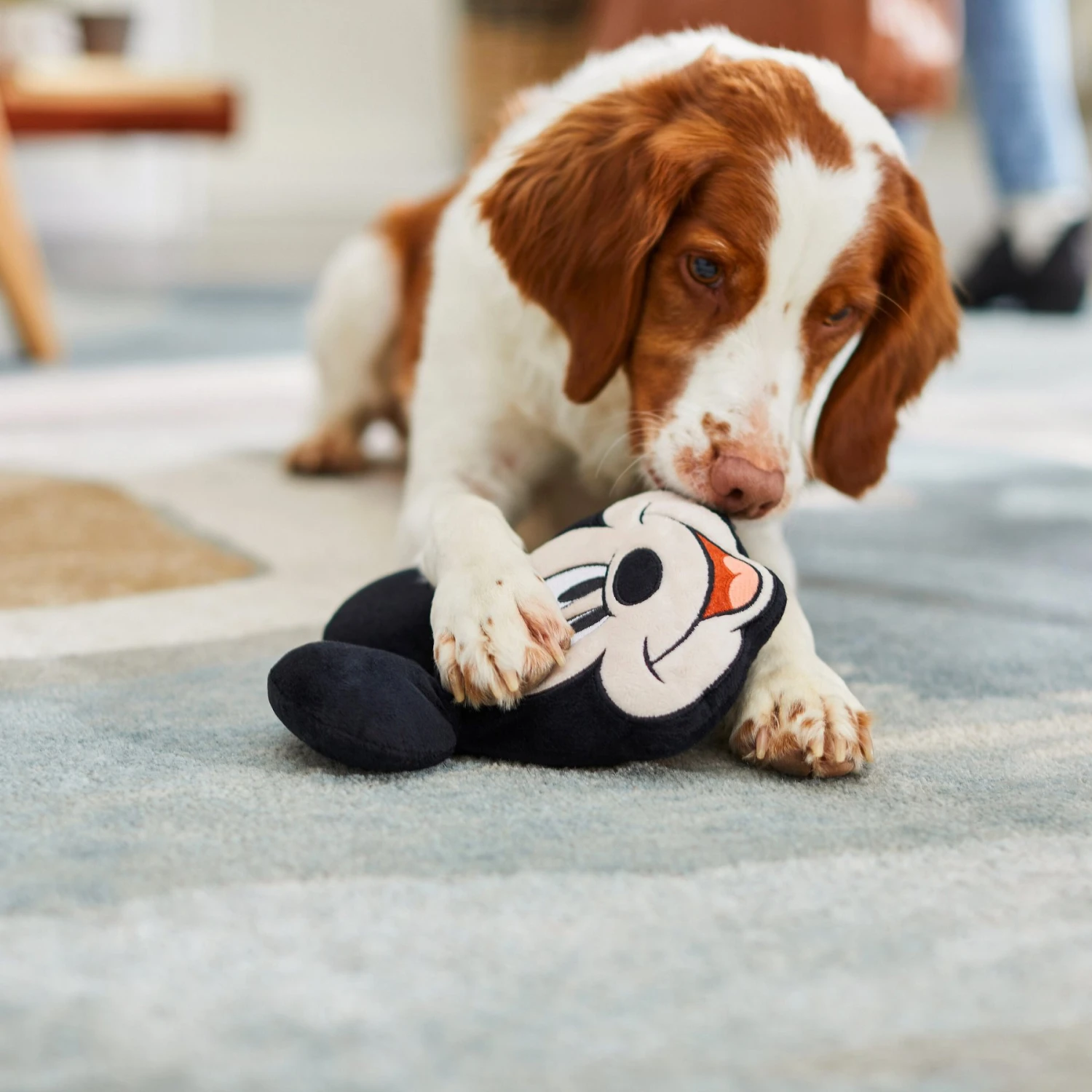 Disney Mickey Mouse Round Plush Squeaky Dog Toy 3 Disney Mickey Mouse Round Plush Squeaky Dog Toy - Image 3