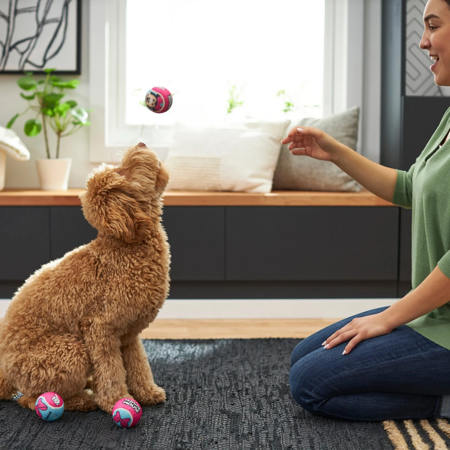 Disney Minnie Mouse Fetch Squeaky Tennis Ball Dog Toy, 3 Count 3 Disney Minnie Mouse Fetch Squeaky Tennis Ball Dog Toy, 3 Count - Image 3