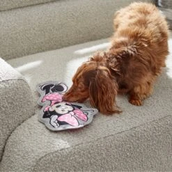 Disney Minnie Mouse Flat Plush Squeaky Dog Toy -Pet Toys Shop 220805 PT2. AC SS1800 V1612364883