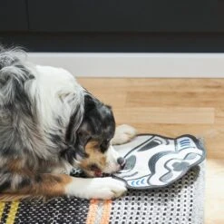 STAR WARS STORMTROOPER Flat Plush Squeaky Dog Toy 7 STAR WARS STORMTROOPER Flat Plush Squeaky Dog Toy -Pet Toys Shop 220896 PT3. AC SS1800 V1615586203