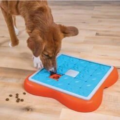 Nina Ottosson By Outward Hound Challenge Slider Dog Toy -Pet Toys Shop 226716 PT4. AC SS1800 V1694286042